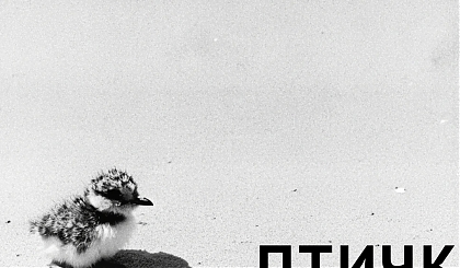 Издана книга стихов преподавателя филфака, поэта Е.С. Стрельниковой