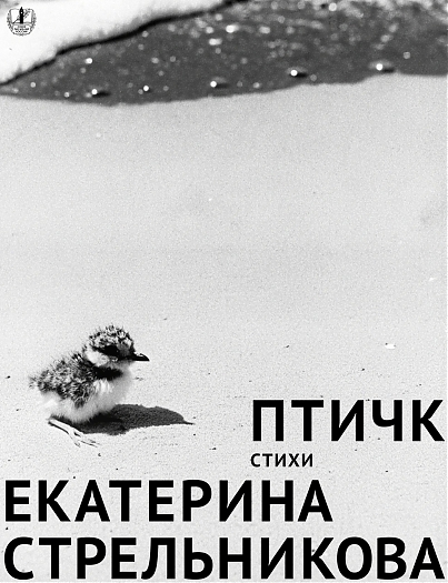 Изображение 4372 