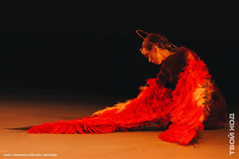 Изображение 4274 